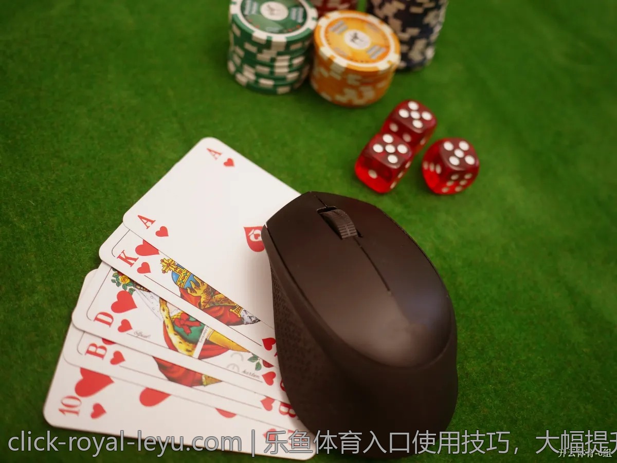 乐鱼体育入口使用技巧,大幅提升游戏乐趣