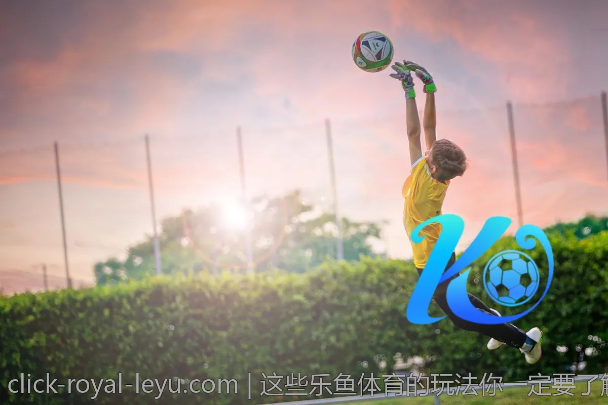 这些乐鱼体育的玩法你一定要了解！