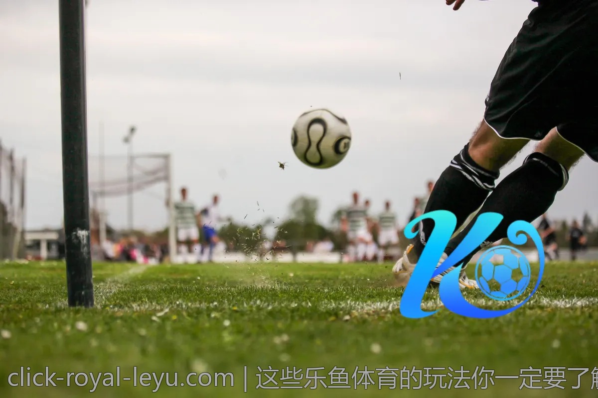 这些乐鱼体育的玩法你一定要了解！