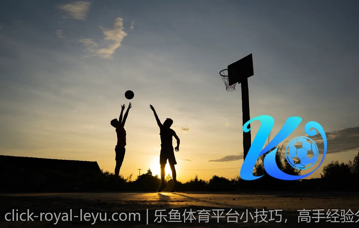 乐鱼体育平台小技巧,高手经验分享